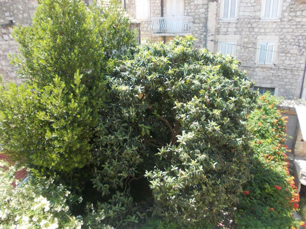 Takoma Hvar Hvar Town Luaran gambar